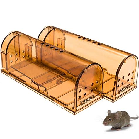 metal box to catch mice|best mouse traps for kids.